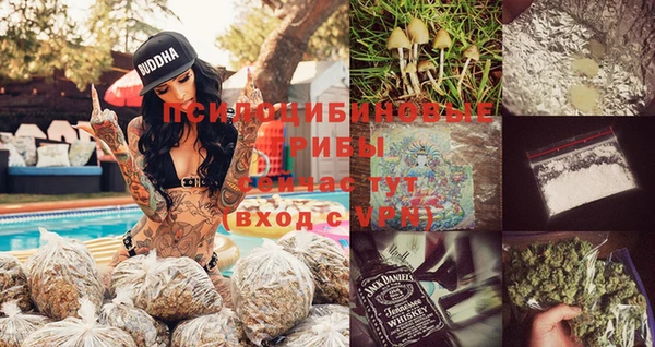 дурь Новокубанск