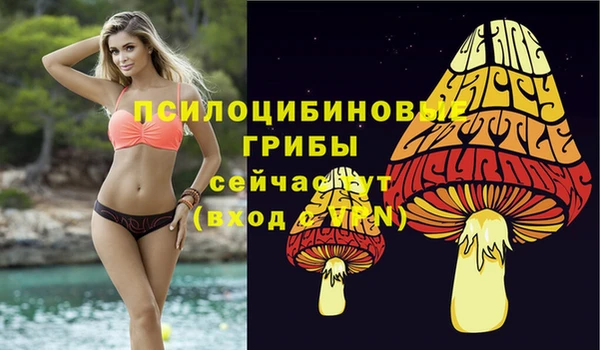 гашиш Новозыбков